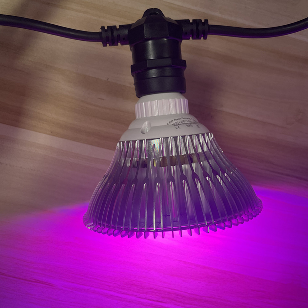 10M 케이블 LED 스트링 조명, 상업용 등급 방수, - Outdoor Lighting Effects 리뷰 및 가격